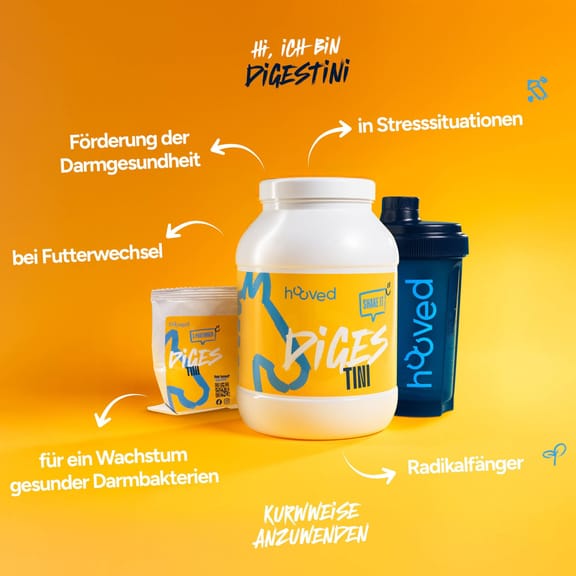 Weiße Proteinpulverdose mit gelbem Etikett, blauer Grafik und Schrift, auf gelbem Hintergrund.