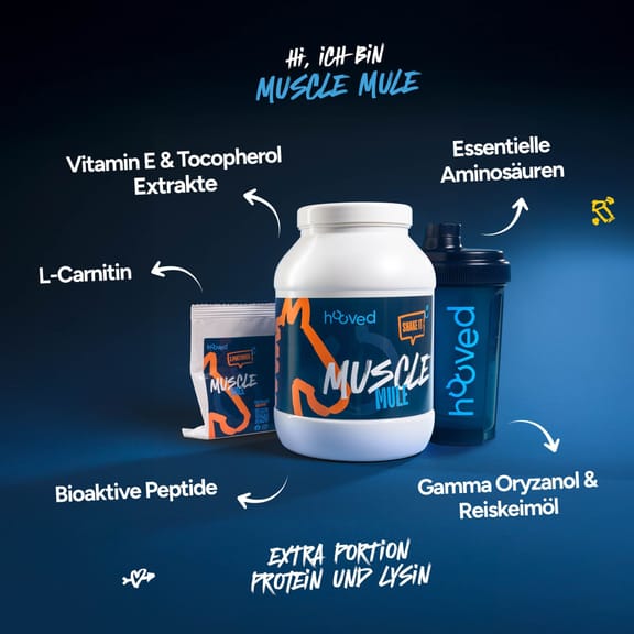 Weiße Protein-Dose mit blauer Etikette, orange und weiße Schrift, Logo eines Pferdes, Produktname "Muscle Mule" und Slogan "Shake It".